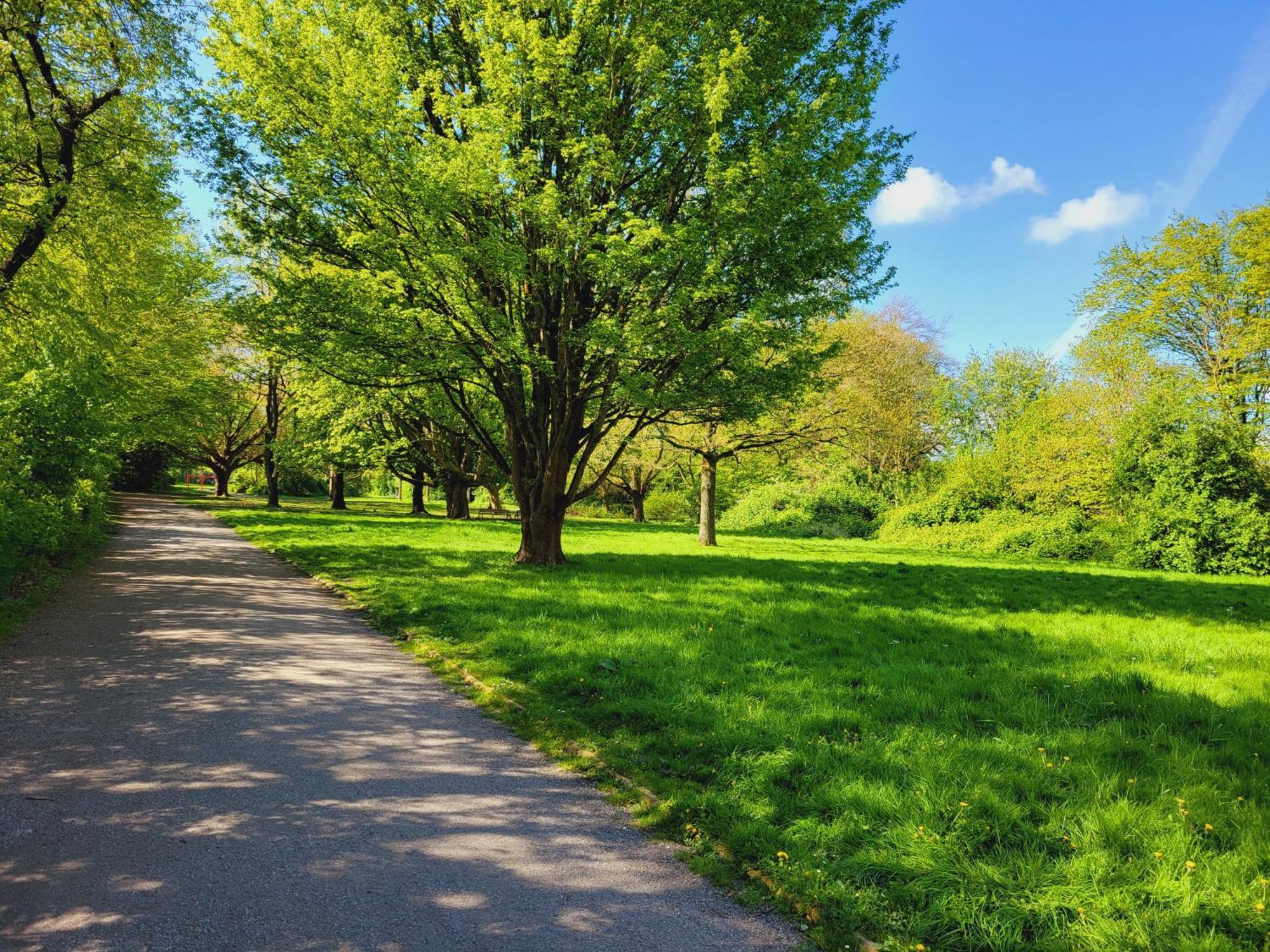 Ferienwohnungen Am Park ヴィルヘルムスハーフェン エクステリア 写真