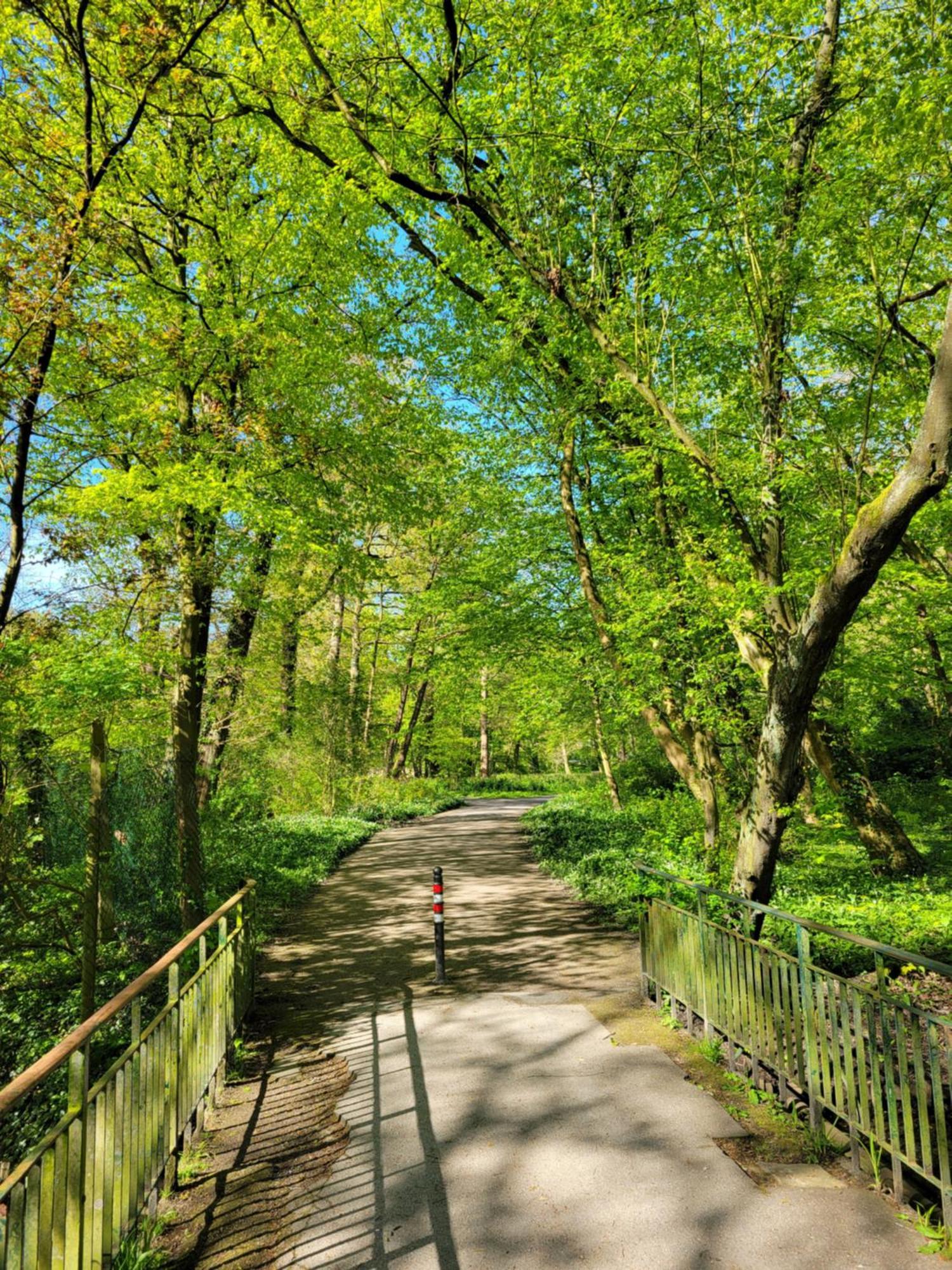 Ferienwohnungen Am Park ヴィルヘルムスハーフェン エクステリア 写真