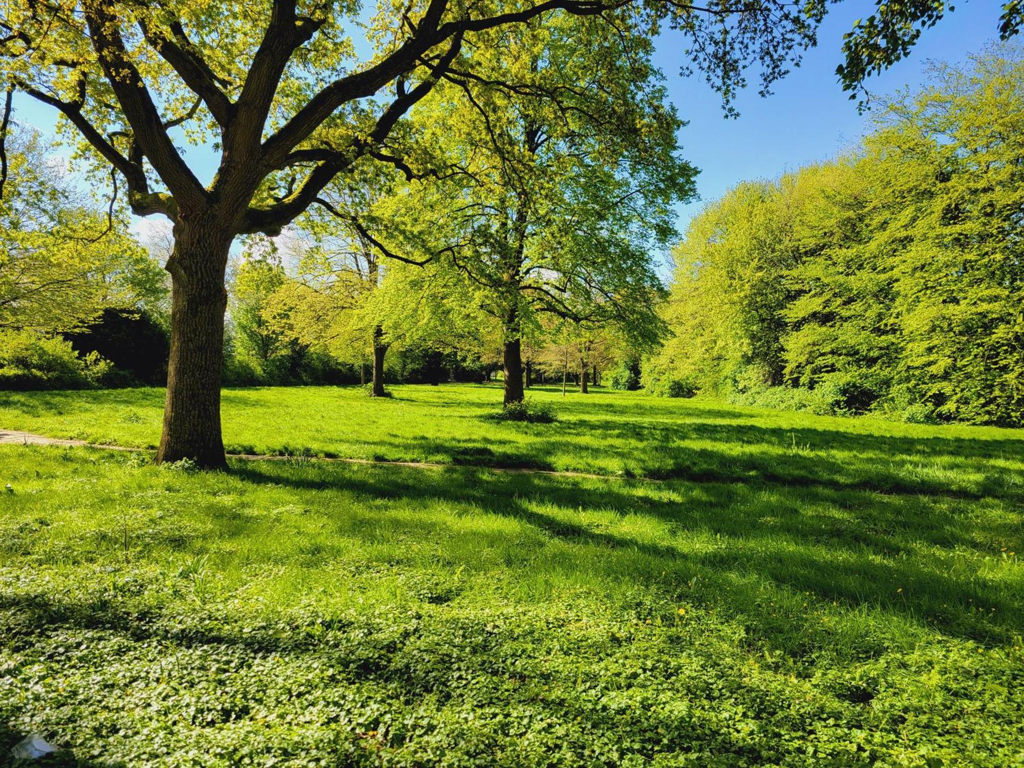 Ferienwohnungen Am Park ヴィルヘルムスハーフェン エクステリア 写真